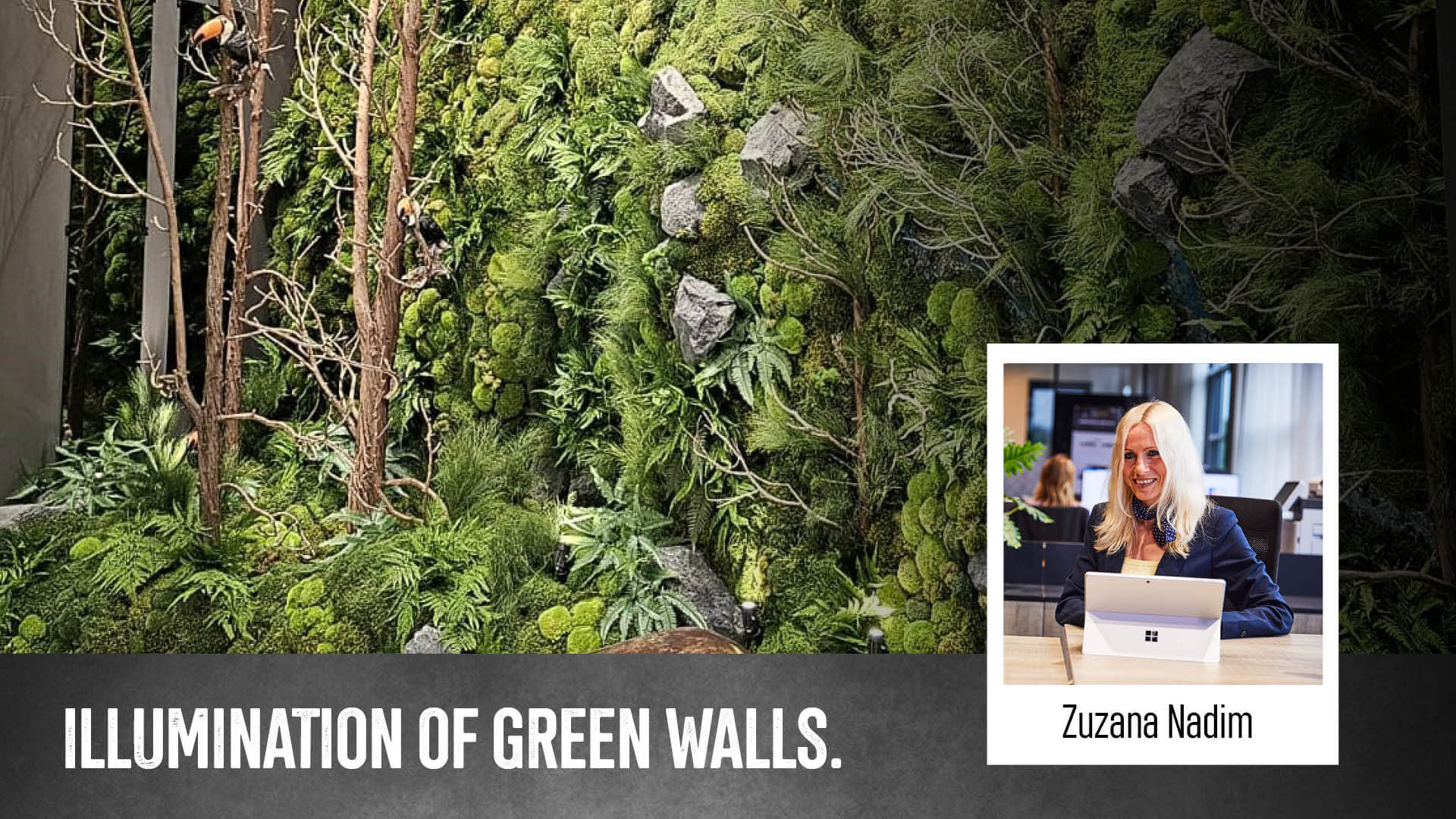 Example of an illuminated living green wall | Light4U