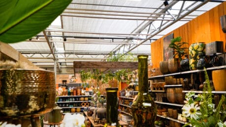 Groene vingers met tuincentrumverlichting.