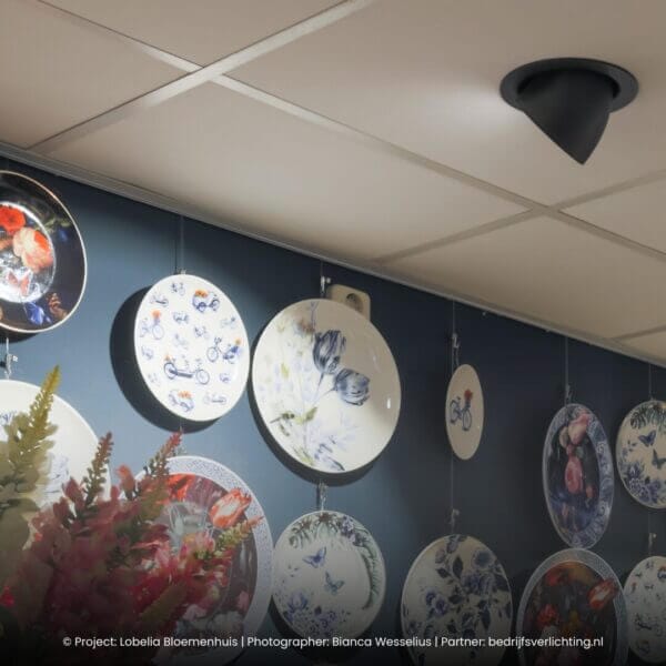 Light4U-Sana-M-HE-Project-2