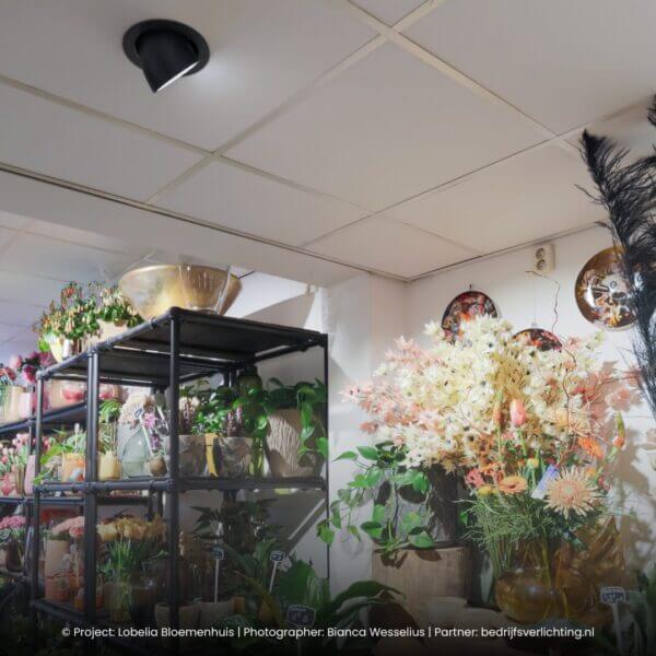 Light4U-Sana-M-HE-Project