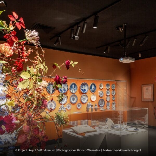 Light4U-Surt-Project