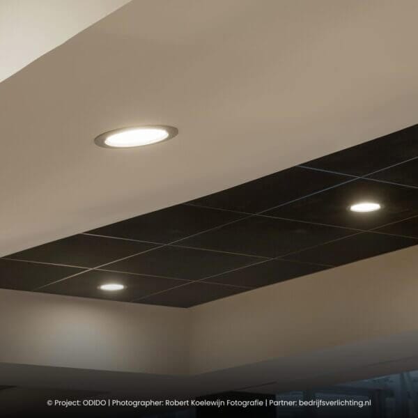 Light4U-World-Project-2